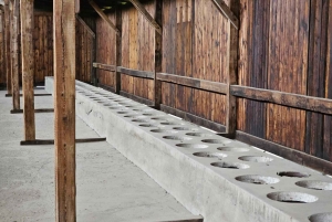 Fra Krakow: Guidet tur til Auschwitz-Birkenau med afhentning