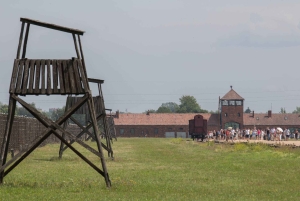 Fra Krakow: Guidet tur til Auschwitz-Birkenau med afhentning