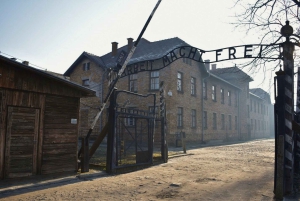 Cracóvia: excursão a Auschwitz-Birkenau com transporte