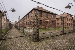Cracóvia: excursão a Auschwitz-Birkenau com transporte