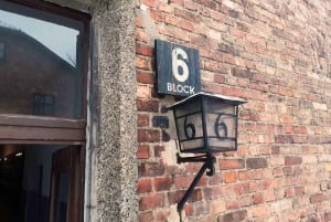 Cracóvia: excursão a Auschwitz-Birkenau com transporte