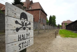 Cracóvia: excursão a Auschwitz-Birkenau com transporte