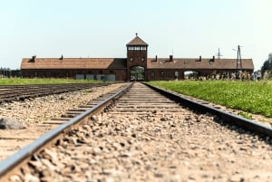 Cracóvia: excursão a Auschwitz-Birkenau com transporte