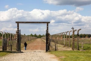 From Krakow: Auschwitz-Birkenau Guided Tour with Transport