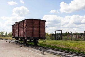 From Krakow: Auschwitz-Birkenau Guided Tour with Transport