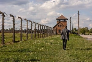 From Krakow: Auschwitz-Birkenau Guided Tour with Transport