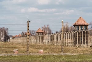 Z Krakowa: Auschwitz-Birkenau z przewodnikiem i odbiorem