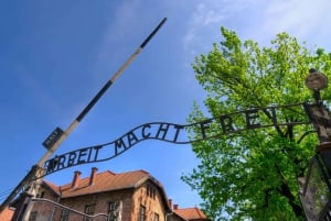 From Krakow: Auschwitz-Birkenau Live Guided Tour