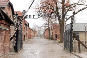 Fra Krakow: Omvisning i Auschwitz-Birkenaus minnesmerke og museum