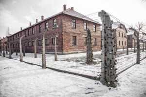 Fra Krakow: Omvisning i Auschwitz-Birkenaus minnesmerke og museum