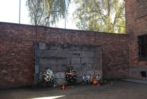 Fra Krakow: Omvisning i Auschwitz-Birkenaus minnesmerke og museum