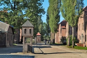 Fra Krakow: Omvisning i Auschwitz-Birkenaus minnesmerke og museum