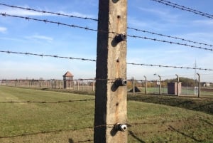 Fra Krakow: Omvisning i Auschwitz-Birkenaus minnesmerke og museum