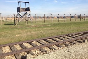 Fra Krakow: Omvisning i Auschwitz-Birkenaus minnesmerke og museum