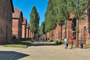 Von Krakau aus: Auschwitz-Birkenau Gedenkstätte und Museum Tour