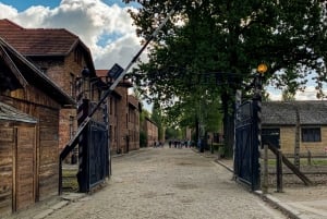 Von Krakau aus: Auschwitz-Birkenau Gedenkstätte und Museum Tour