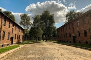 Von Krakau aus: Auschwitz-Birkenau Gedenkstätte und Museum Tour