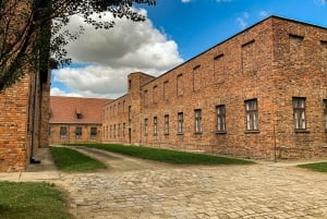 Von Krakau aus: Auschwitz-Birkenau Gedenkstätte und Museum Tour