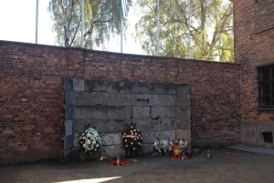 De Cracóvia: Visita ao Museu e Memorial de Auschwitz-Birkenau