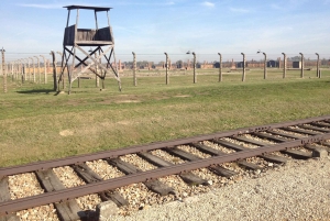 De Cracóvia: Visita ao Museu e Memorial de Auschwitz-Birkenau