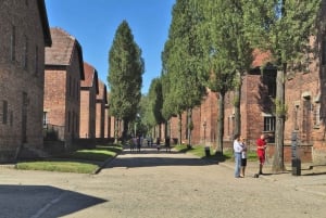 From Krakow: Auschwitz-Birkenau Memorial and Museum Tour