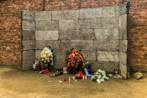 From Krakow: Auschwitz-Birkenau Memorial and Museum Tour