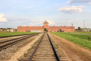 Fra Kraków: Guidet tur til Auschwitz-Birkenau-minnesmerket