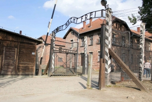 Fra Kraków: Guidet tur til Auschwitz-Birkenau-mindesmærket