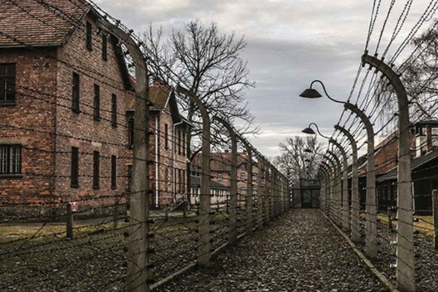Krakovasta: Krakova: Auschwitz-Birkenaun muistomerkki Yksityinen kiertoajelu