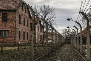 From Krakow: Auschwitz-Birkenau Memorial Private Tour