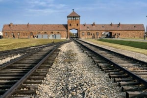 From Krakow: Auschwitz-Birkenau Memorial Private Tour