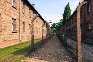 Fra Krakow: Auschwitz-Birkenau Memorial Privat tur