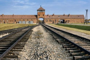 Krakovasta: Krakova: Auschwitz-Birkenaun muistomerkki Yksityinen kiertoajelu