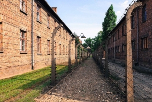 Krakovasta: Krakova: Auschwitz-Birkenaun muistomerkki Yksityinen kiertoajelu