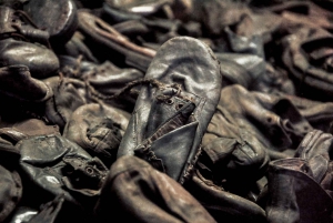 Cracovia: Tour guidato Auschwitz-Birkenau Opzioni di prelievo/pranzo