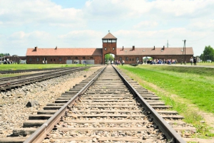 Krakow: Auschwitz Guided Tour with Hotel Pickup