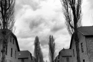 Au départ de Cracovie : visite de dernière minute du musée Auschwitz-Birkenau