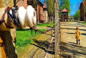 Au départ de Cracovie : visite de dernière minute du musée Auschwitz-Birkenau