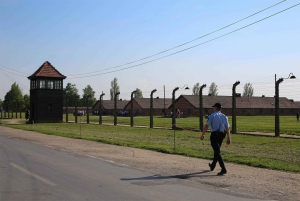 De Cracóvia: excursão de última hora ao Museu Auschwitz-Birkenau