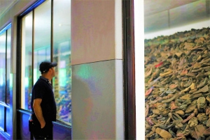 De Cracóvia: excursão de última hora ao Museu Auschwitz-Birkenau