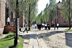 De Cracóvia: excursão de última hora ao Museu Auschwitz-Birkenau
