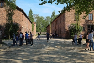 De Cracóvia: excursão de última hora ao Museu Auschwitz-Birkenau