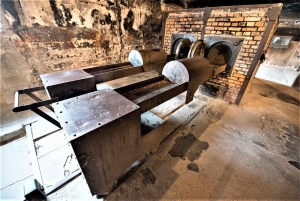De Cracóvia: excursão de última hora ao Museu Auschwitz-Birkenau