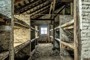 De Cracóvia: excursão de última hora ao Museu Auschwitz-Birkenau
