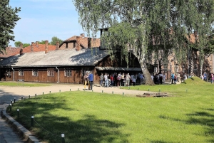 De Cracóvia: excursão de última hora ao Museu Auschwitz-Birkenau