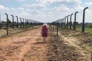 Fra Krakow: Auschwitz-Birkenau privat eller delt tur