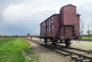 Vanuit Krakau: Auschwitz-Birkenau privétour of gedeelde tour
