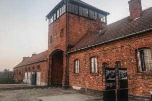 Fra Krakow: Auschwitz-Birkenau privat eller delt tur