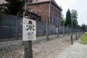 From Krakow: Auschwitz-Birkenau Roundtrip Bus & Entry Ticket
