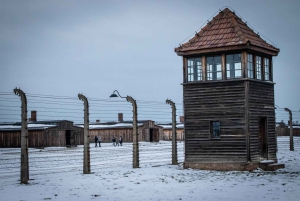 Krakow: Auschwitz-Birkenau Museum One-Way Bus Transfer